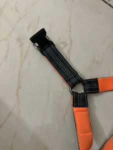 Last Price!!!No Pull Dog Training Leash