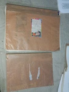 CLASS 10 CBSE BOOKS COMBO OF ENGLISH,HANDI,MATHS,