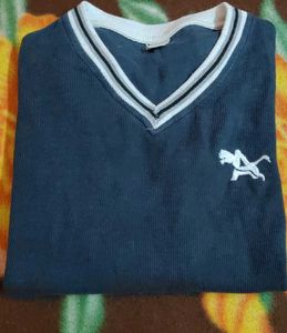 Stylish Blue V-Neck T-Shirt