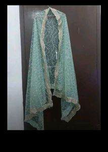 Net Fully Worked Lehenga