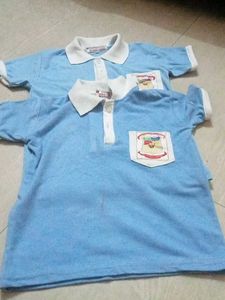 Combo Of School Tshirt
