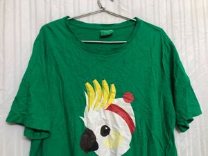 Woolworths Green Short Sleeve T Shirt