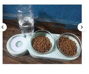 Pet Double Bowls 2 Food Bowl 1 Water Feeder