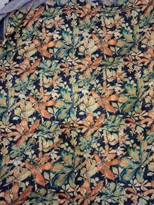 Striped &amp; Floral Print Saree