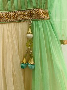 Elegant Ethnic Gown