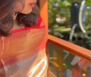 Elegant saree