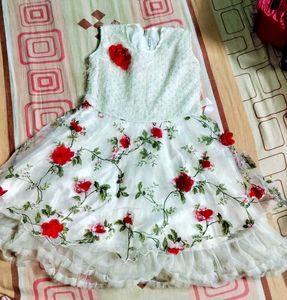 Cute Floral Pari dress
