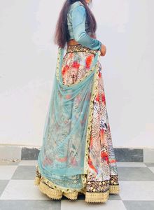 Holi Offer🎉Multi Tiger Print Lehenga Choli
