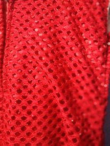 Elegant Red Ethnic Gown