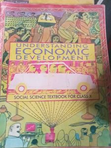 Democratic Politics Textbook,understanding economi