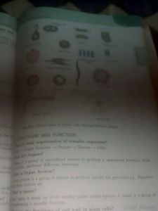 Golden Book Guide For Class 8 Science