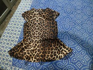 Women Peplum Top Leopard Print Asos Brand