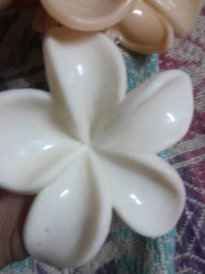 Flower Hair Clips - Set of 2