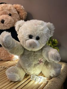Cute Stuffed Teddy Bear