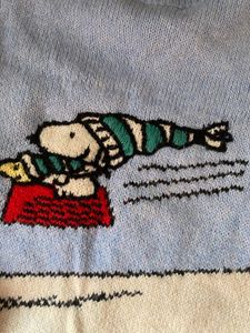 American eagle sweater xxs-s