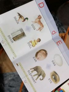 Basic Alphabet Book