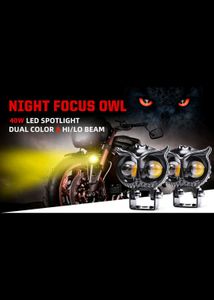 OWL Shape Light With Flasher For Cars/Bikes
