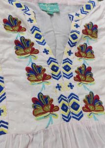 Embroidered indo-western dress