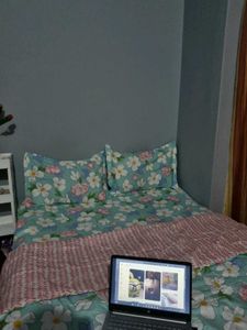 Comforter 1 Bedsheet 2 Pillow Cover Comb