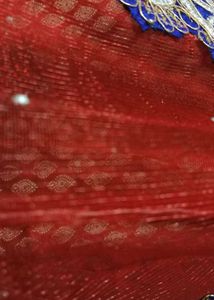 Net and Banarasi skirt