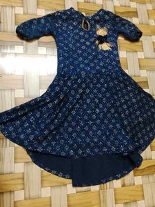 Party Wear Beautiful Western Top