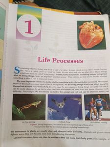 Combo Pack: Lakhmir Singh Class 10 Science (Physic