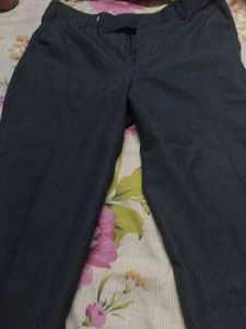 Mens Pant