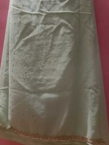 Mint Green Sari with Embellishments