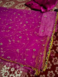 party wear And Festival beautiful net saree