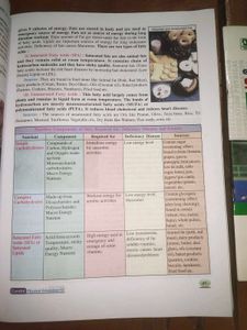 Evergreen Class 12 Physical Education Book