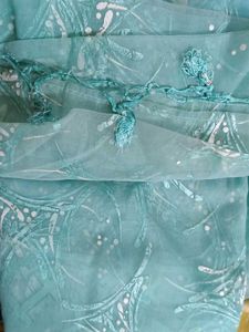 Organza Saree Farewell/College/Festive