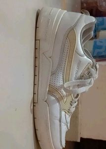 Red Tape Men Perforations Sneakers