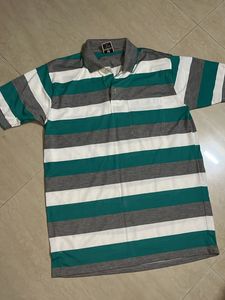 Daily Wear polo T-Shirt For Men