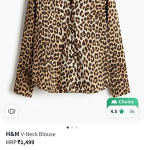 Leopard Print Long Sleeve Blouse