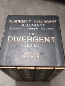 The Divergent Series