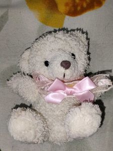 Cute mini Teddy Bear