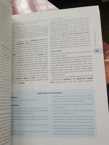 Thorax and Abdomen - 16th Edition