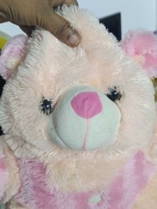 Cute Plush Teddy Bear