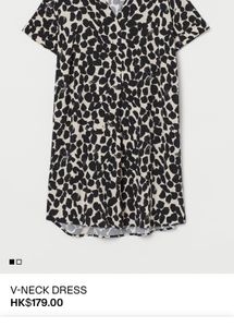 H&amp;M Animal Print V-Neck Mini Dress