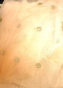 Beautiful Delicate Embroidered Dupatta