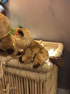 Cute Beaver Plush Set