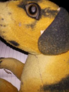 Dog Plush Toy