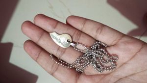 Lipstick Earring Jewellery