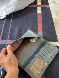 Baggit wallet