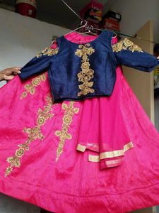 Pink &amp; Navy Embroidered Lehenga Set