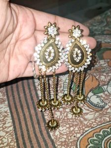 Elegant Dangler Earrings