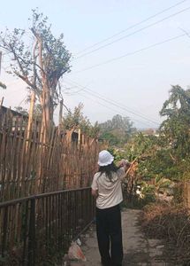 Bonkers Black Lounge Pants