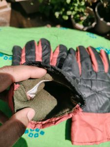 Bike Gloves
