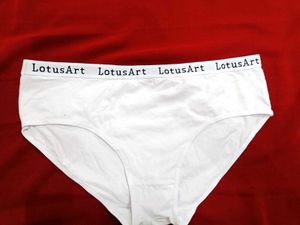 🇳🇿💫💗LotusArt White Cotton Panties