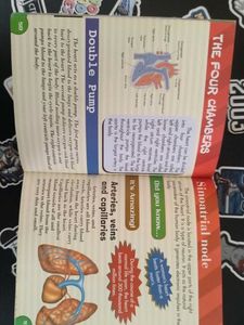 Junior Encyclopedia: Human Body